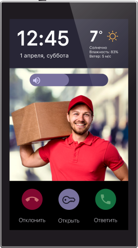 iRidi Touch Panel P6