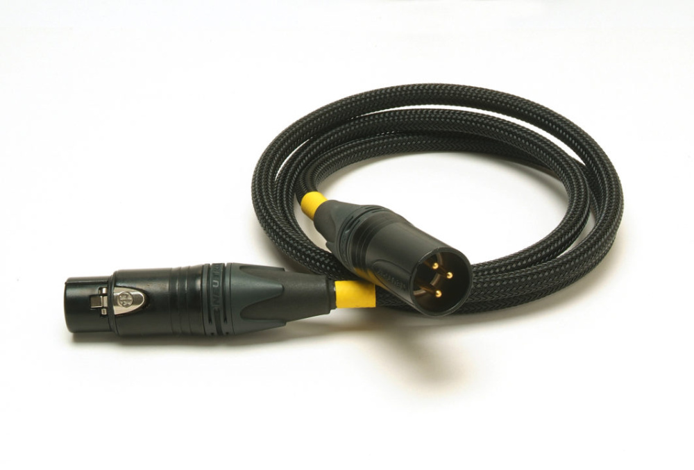 Acoustic Revive Digital 1.0X-TripleC-FM