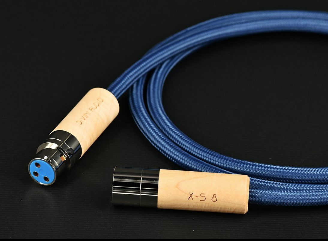 Divini Audio X-S8 XLR (1.5 М)