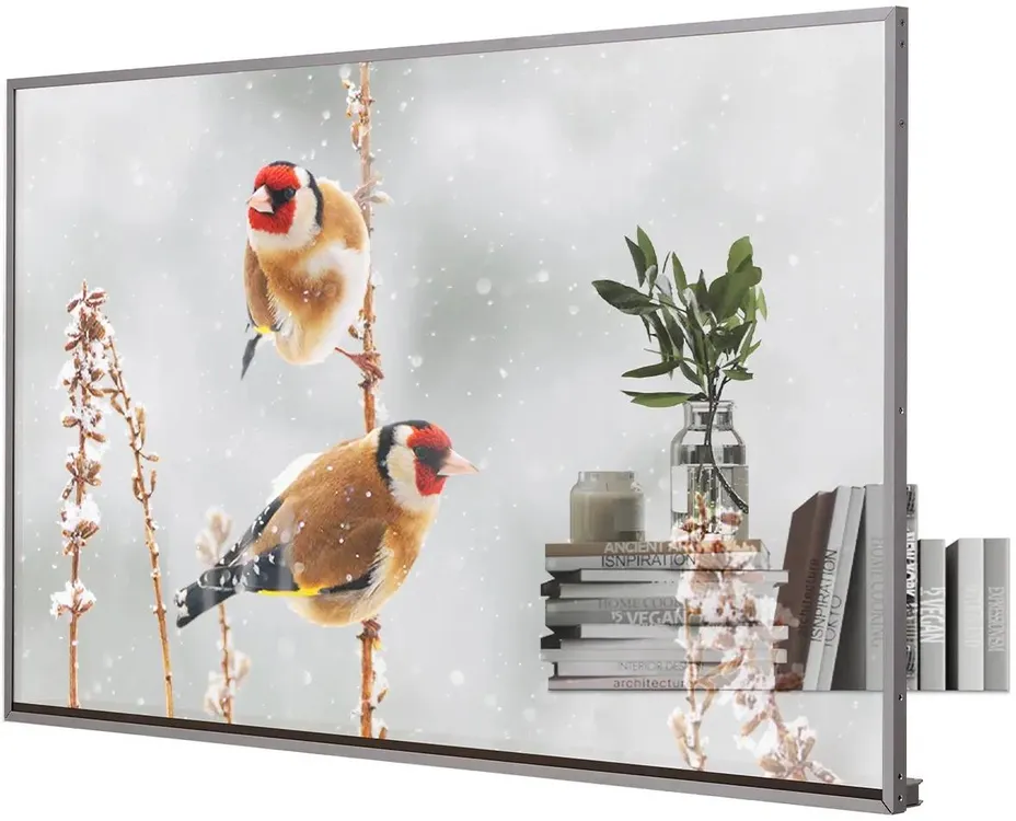 LG 55EW5P-M
