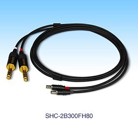 SAEC SHC – 2B300FH80