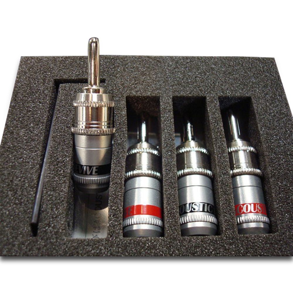 Acoustic Revive RBN-1