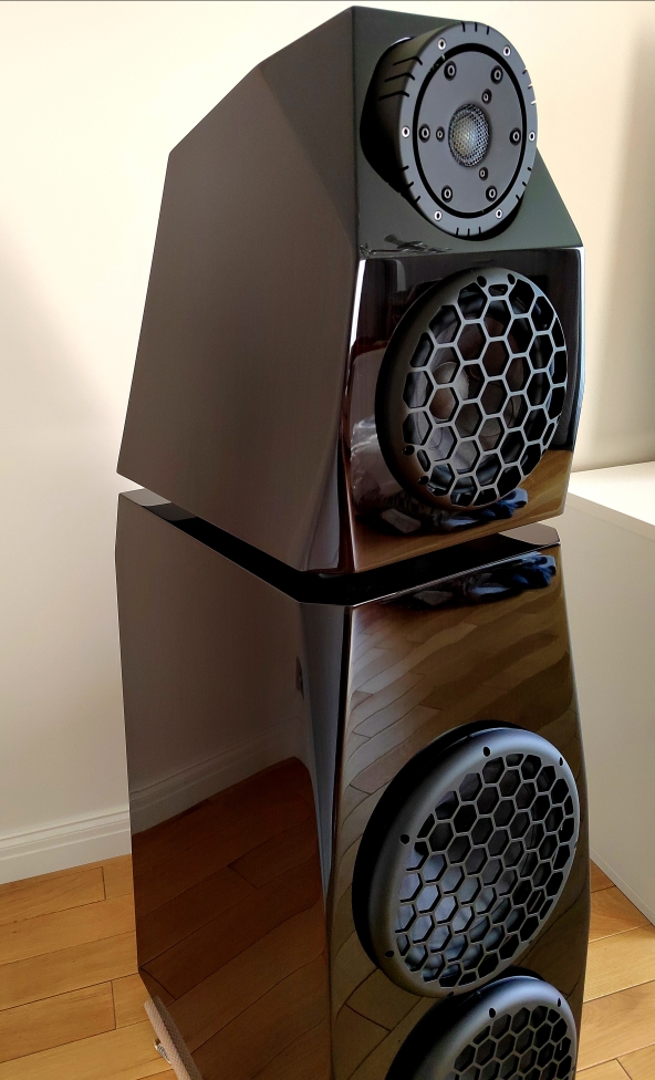 Divini Audio RASA Signature black