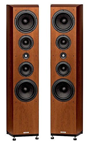 ASW Loudspeaker Genius 510