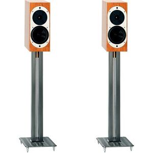 ASW Loudspeaker Genius LS Stand G100