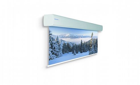 Da-Lite GiantScreen Electrol 500х700см Matte White