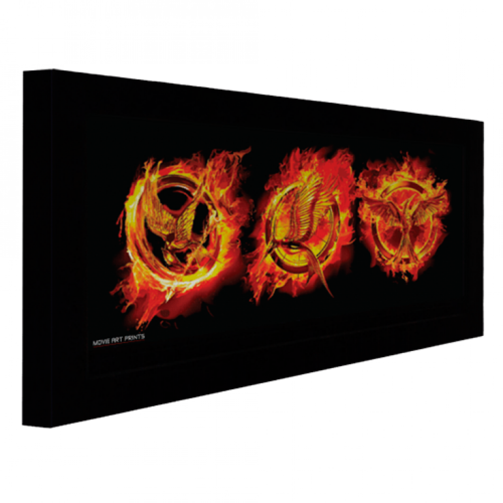  Dynamic-4-AM DT-DYN-4-AM-660