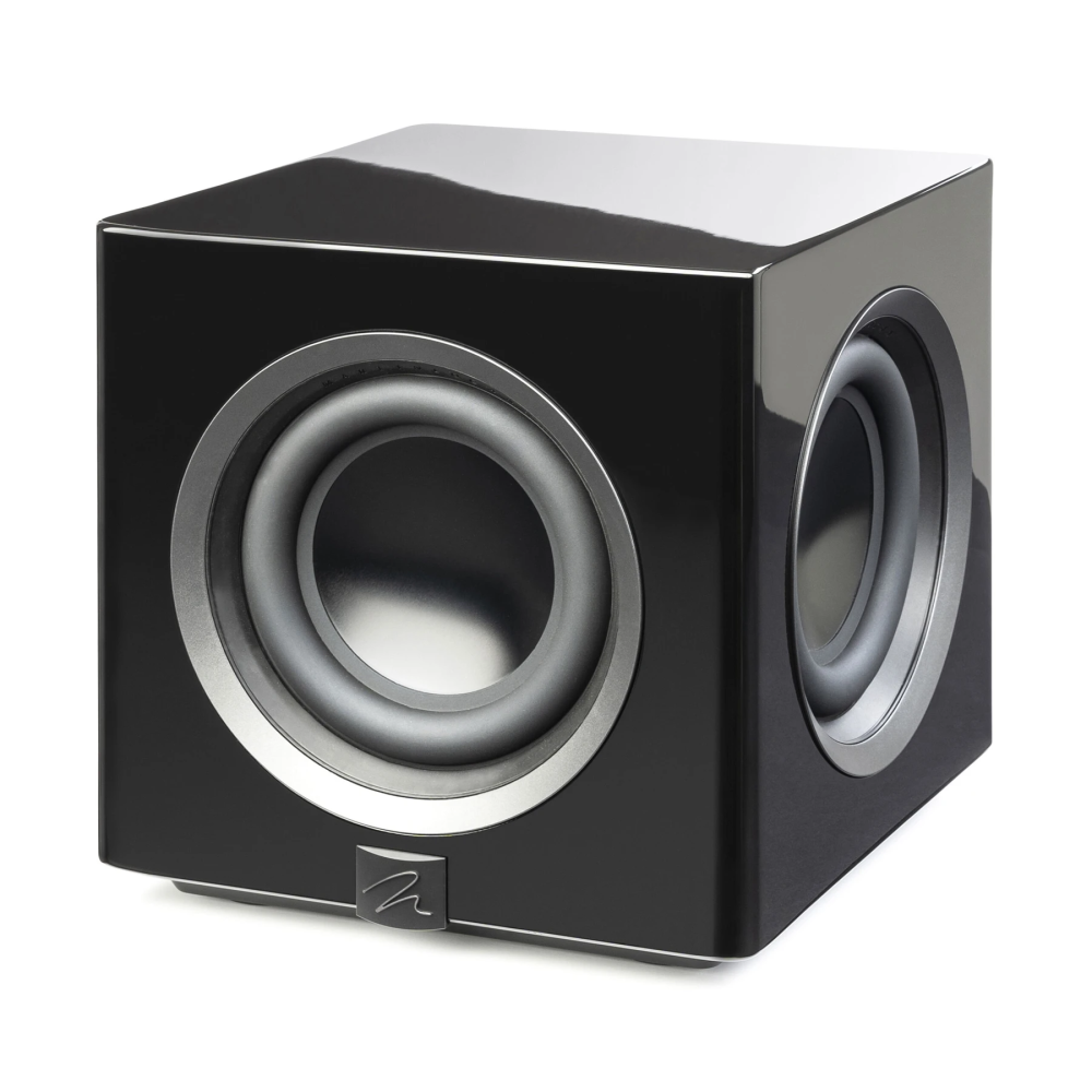 Martin Logan Abyss 10 Subwoofer