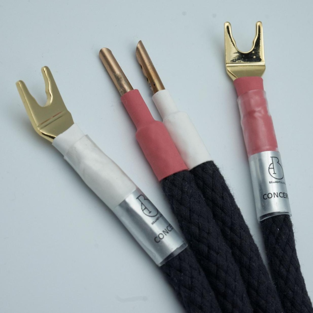 Brandt Audio Concerto JMPR Brandt Audio Concerto JMPR