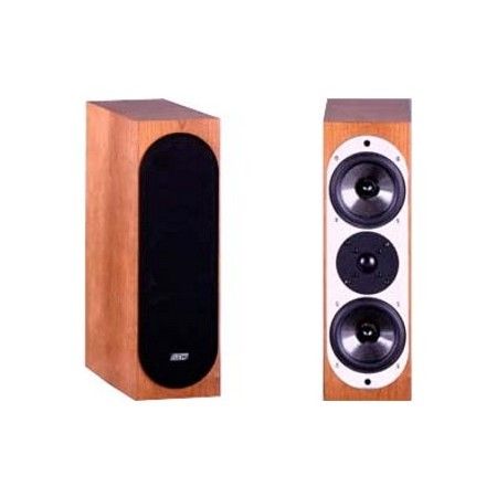 ASW Loudspeaker Genius 200