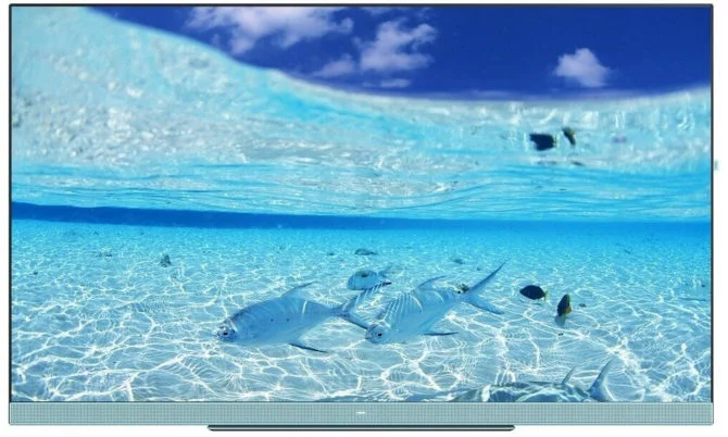 Loewe We. SEE 55  Loewe We. SEE 55