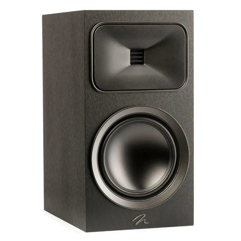 Martin Logan Foundation B2