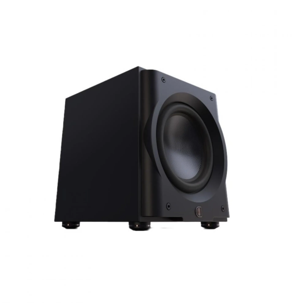 Perlisten Audio R10s