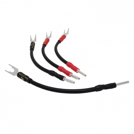 Chord Signature Bridging Links x 4