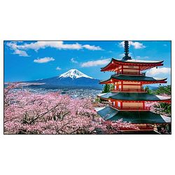 EliteBoard PK555FFLN EliteBoard PK555FFLN