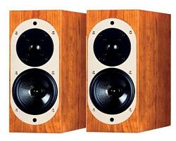 ASW Loudspeaker Genius 100 ASW Loudspeaker Genius 100