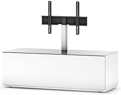 SONOROUS ST 131F WHT WHT BS SONOROUS ST 131F WHT WHT BS