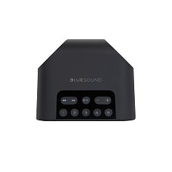 Bluesound Pulse Flex 2i Bluesound Pulse Flex 2i