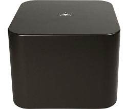 TRIAD Garden Array 10 Subwoofer TRIAD Garden Array 10 Subwoofer