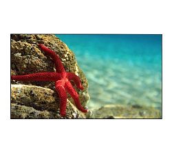 EliteBoard BK495FCBE EliteBoard BK495FCBE