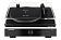 Phaze Audio VOLT Black + Diana Shadow Black Phaze Audio VOLT Black + Diana Shadow Black