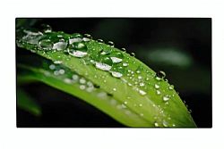 Dahua Technology DHI-LS550UDH-UG Dahua Technology DHI-LS550UDH-UG