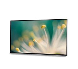 EliteBoard LK-55UL2SN EliteBoard LK-55UL2SN