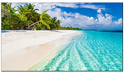 Vestel WY55B-2H Vestel WY55B-2H