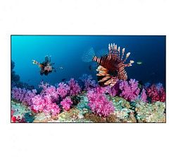 EliteBoard BB558FCBED Комплект EliteBoard BB558FCBED Комплект