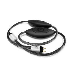 Ansuz Mainz D-TC2 Ansuz Mainz D-TC2