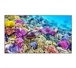 EliteBoard SK555FCLN EliteBoard SK555FCLN