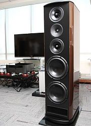 T+A Criterion TCD 110 S Macassar Ebony T+A Criterion TCD 110 S Macassar Ebony