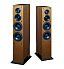 ProAc Carbon Pro 6 ProAc Carbon Pro 6