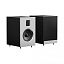 Shanling JET1 speaker black Shanling JET1 speaker black