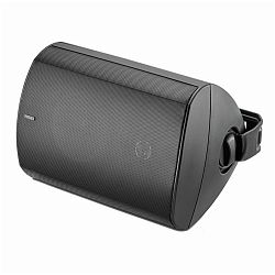 Focal-JMlab 100 OD 6 T  Focal-JMlab 100 OD 6 T