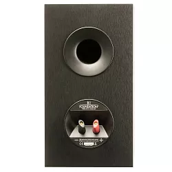 Martin Logan Foundation B1 Martin Logan Foundation B1