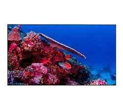 EliteBoard PK495FCBN EliteBoard PK495FCBN