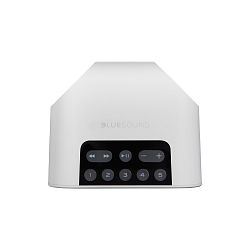 Bluesound Pulse Flex 2i Bluesound Pulse Flex 2i