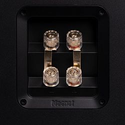Magnat Signature 809 Magnat Signature 809