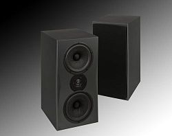 TRIAD InRoom Gold Monitor TRIAD InRoom Gold Monitor