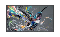 Philips 43BDL3511Q/00 Philips 43BDL3511Q/00