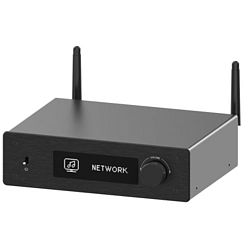 Arylic H50 Arylic H50
