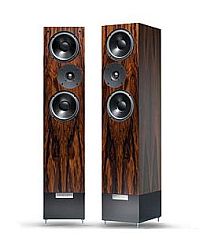 Living Voice Avatar II Santos Rosewood Living Voice Avatar II Santos Rosewood