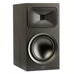 Martin Logan Foundation B2 Martin Logan Foundation B2