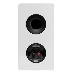 Martin Logan Foundation B1 Martin Logan Foundation B1