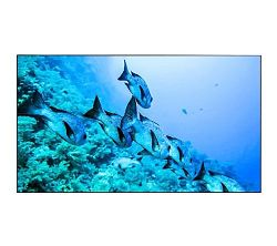 EliteBoard BK555FDLE EliteBoard BK555FDLE