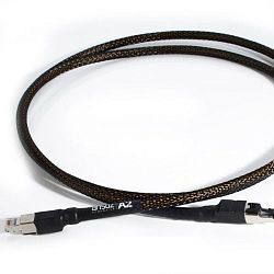 Ansuz Digitalz A2 (ETHERNET) - 1m Ansuz Digitalz A2 (ETHERNET) - 1m