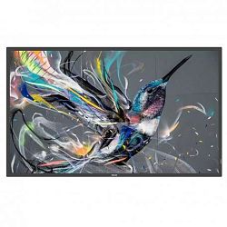 Philips 55BDL3511Q/00 Philips 55BDL3511Q/00