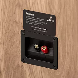 Davis Acoustics Ariane 9  Davis Acoustics Ariane 9