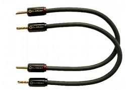 Clarus Crimson MK II CCSJ 20cm (Banana) Clarus Crimson MK II CCSJ 20cm (Banana)